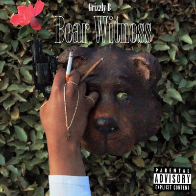 DJ S.R - Grizzly B - Bear Witness